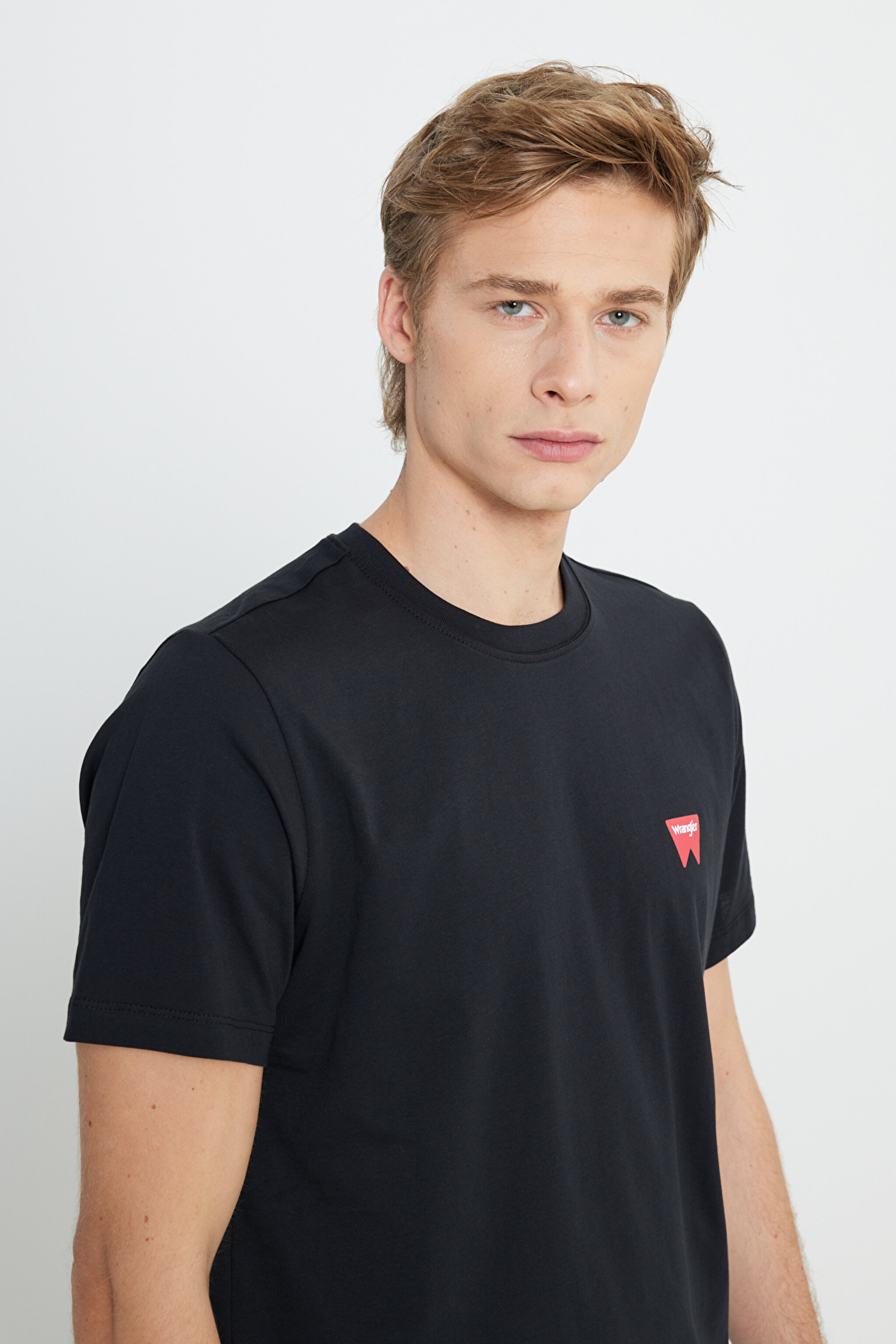 Regular Fit Normal Kesim Bisiklet Yaka %100 Pamuk Siyah Tişört - Black-W70MD3001 (görsel 4)