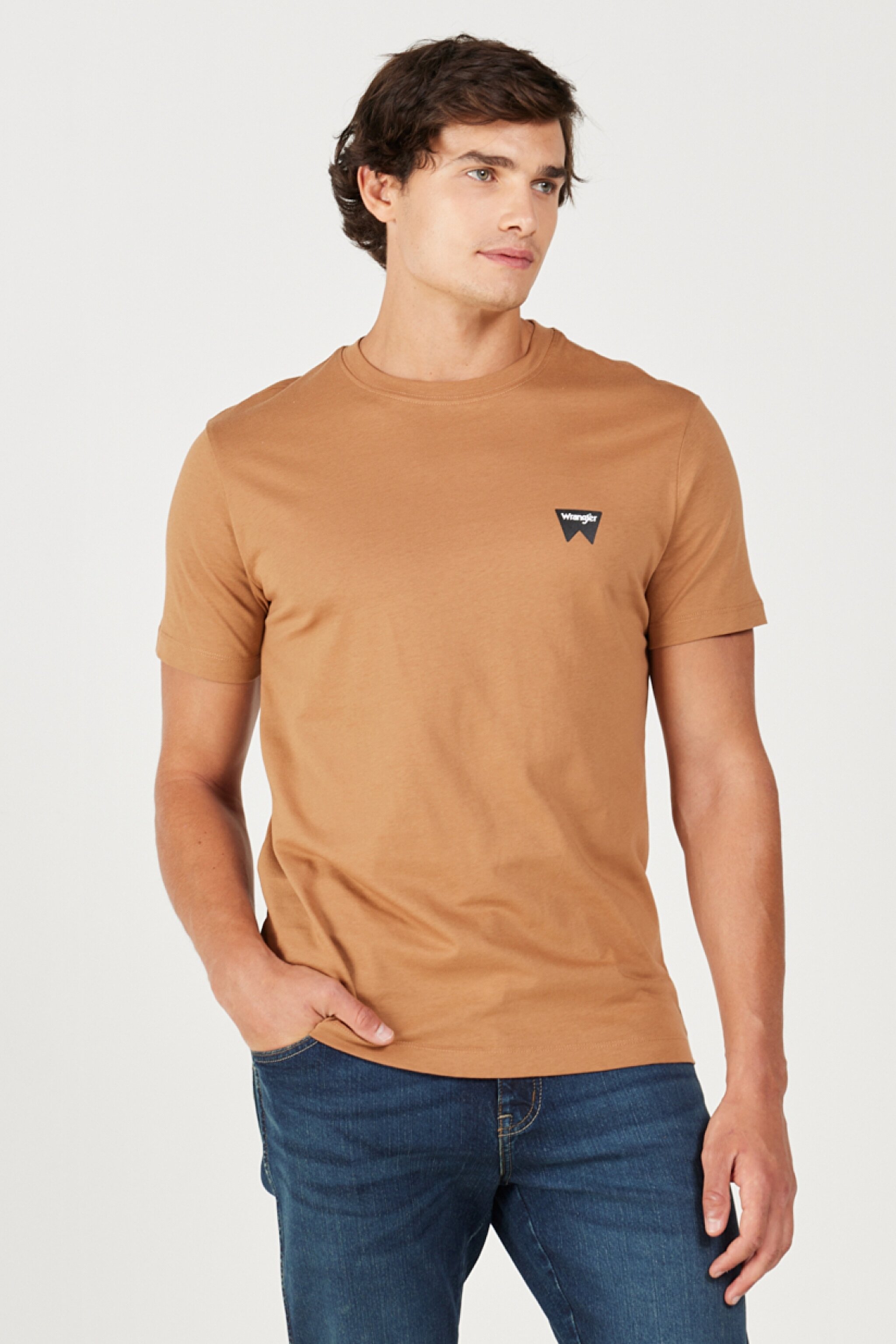 Regular Fit Normal Kesim %100 Pamuk Bisiklet Yaka Tarçın Rengi Tişört - Tobacco Brown-W70MD381A