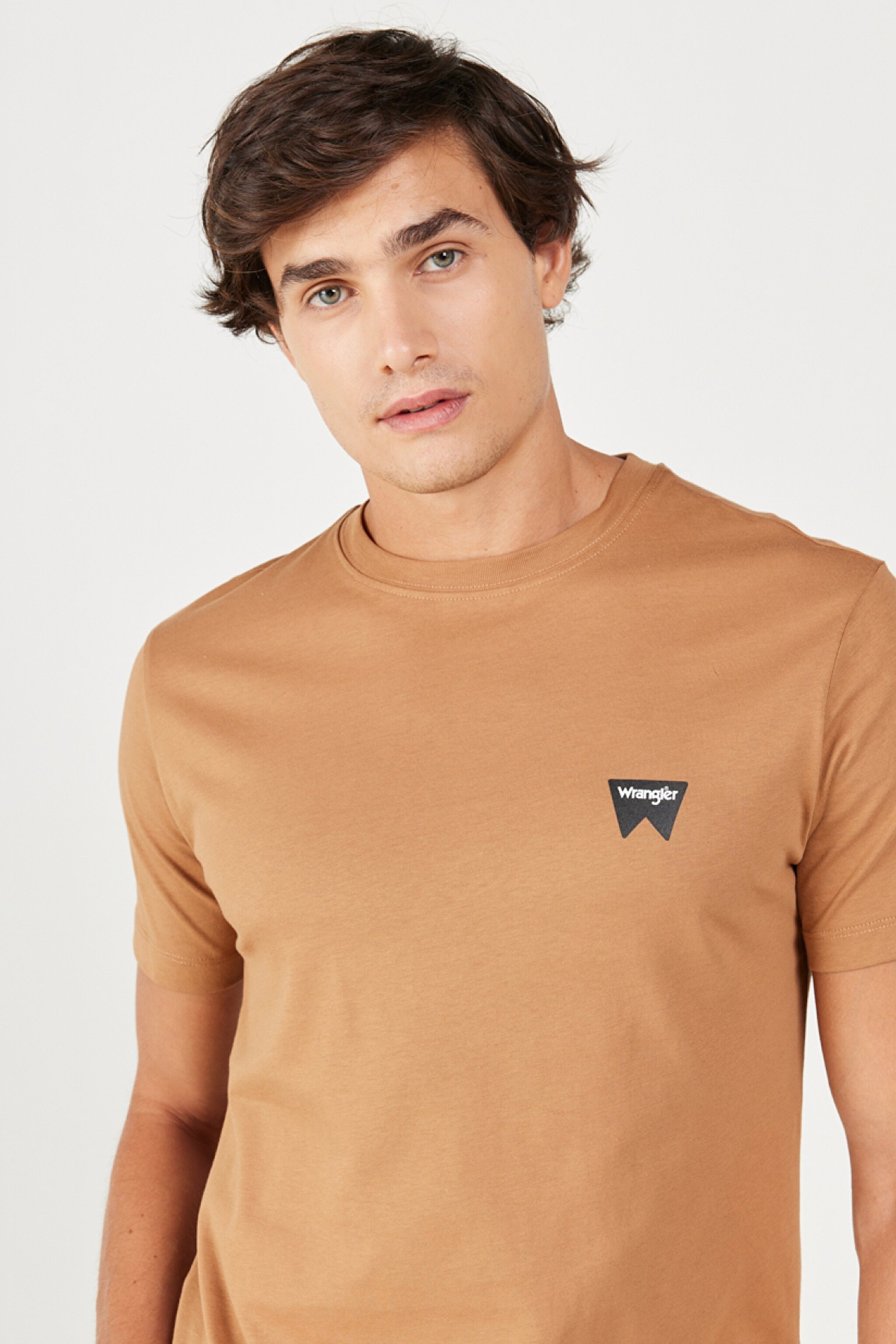 Regular Fit Normal Kesim %100 Pamuk Bisiklet Yaka Tarçın Rengi Tişört - Tobacco Brown-W70MD381A (görsel 3)