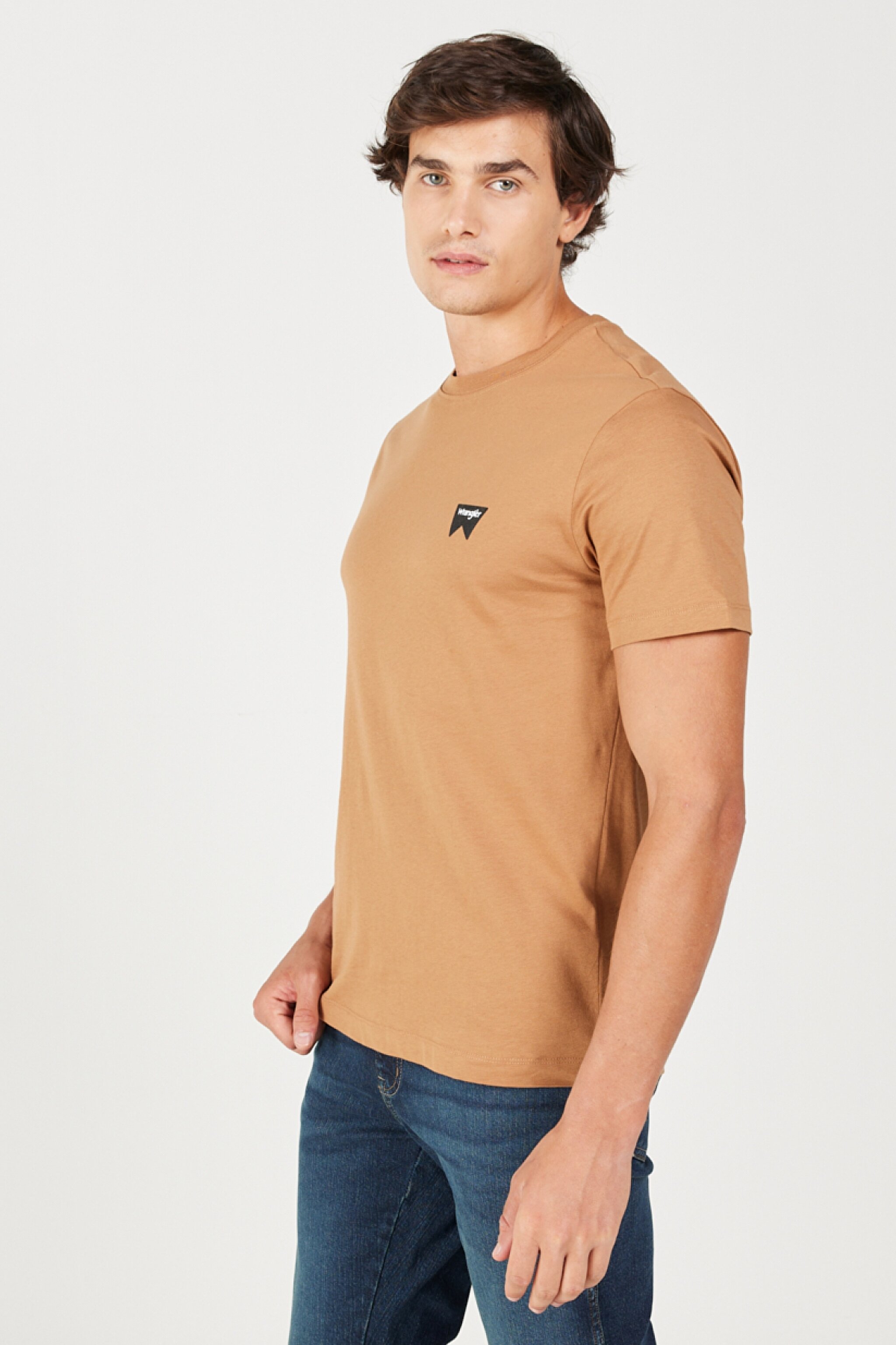 Regular Fit Normal Kesim %100 Pamuk Bisiklet Yaka Tarçın Rengi Tişört - Tobacco Brown-W70MD381A (görsel 4)