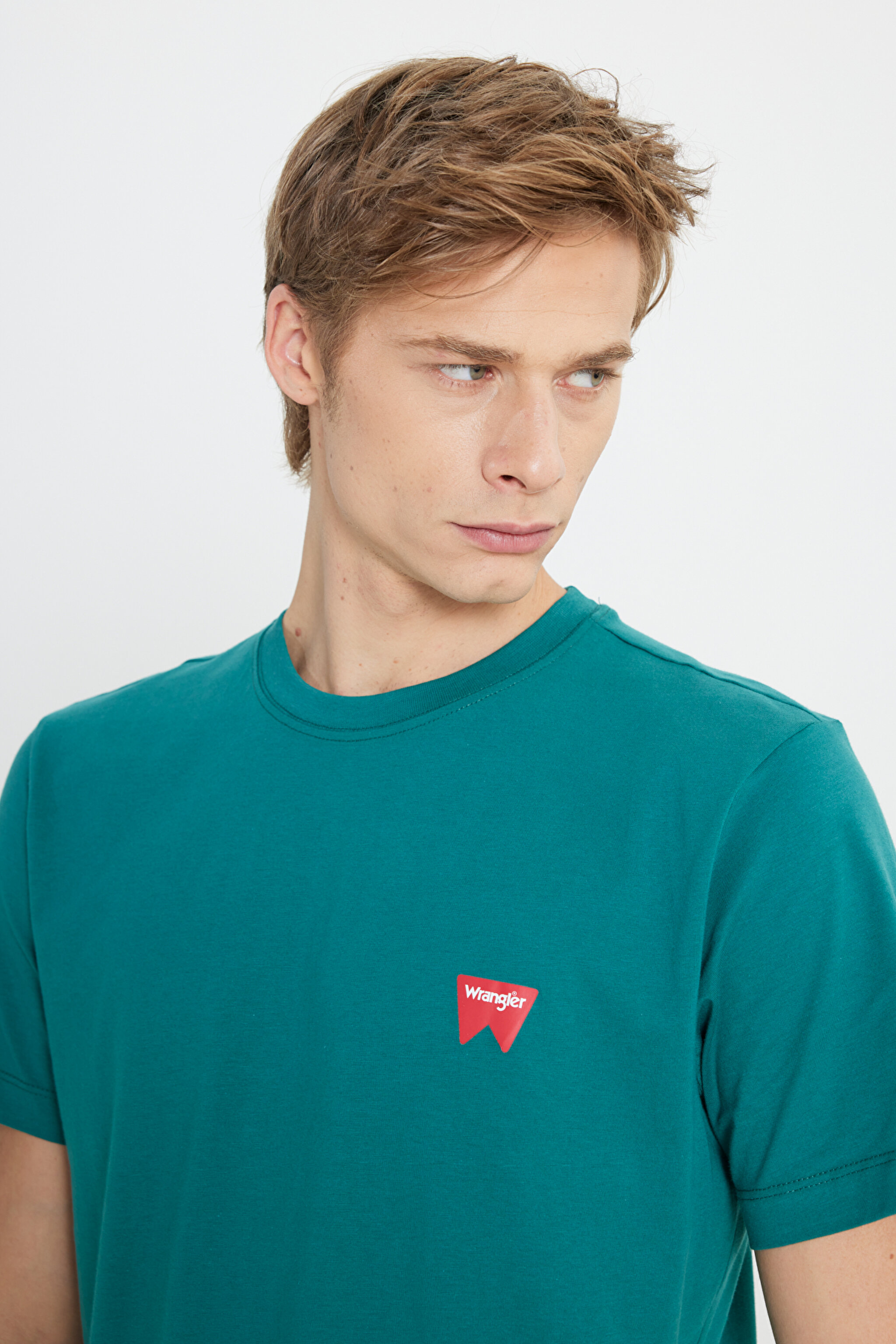 Regular Fit Normal Kesim %100 Pamuk Bisiklet Yaka Yeşil Tişört - Bayberry Green-W70MD3G26 (görsel 4)