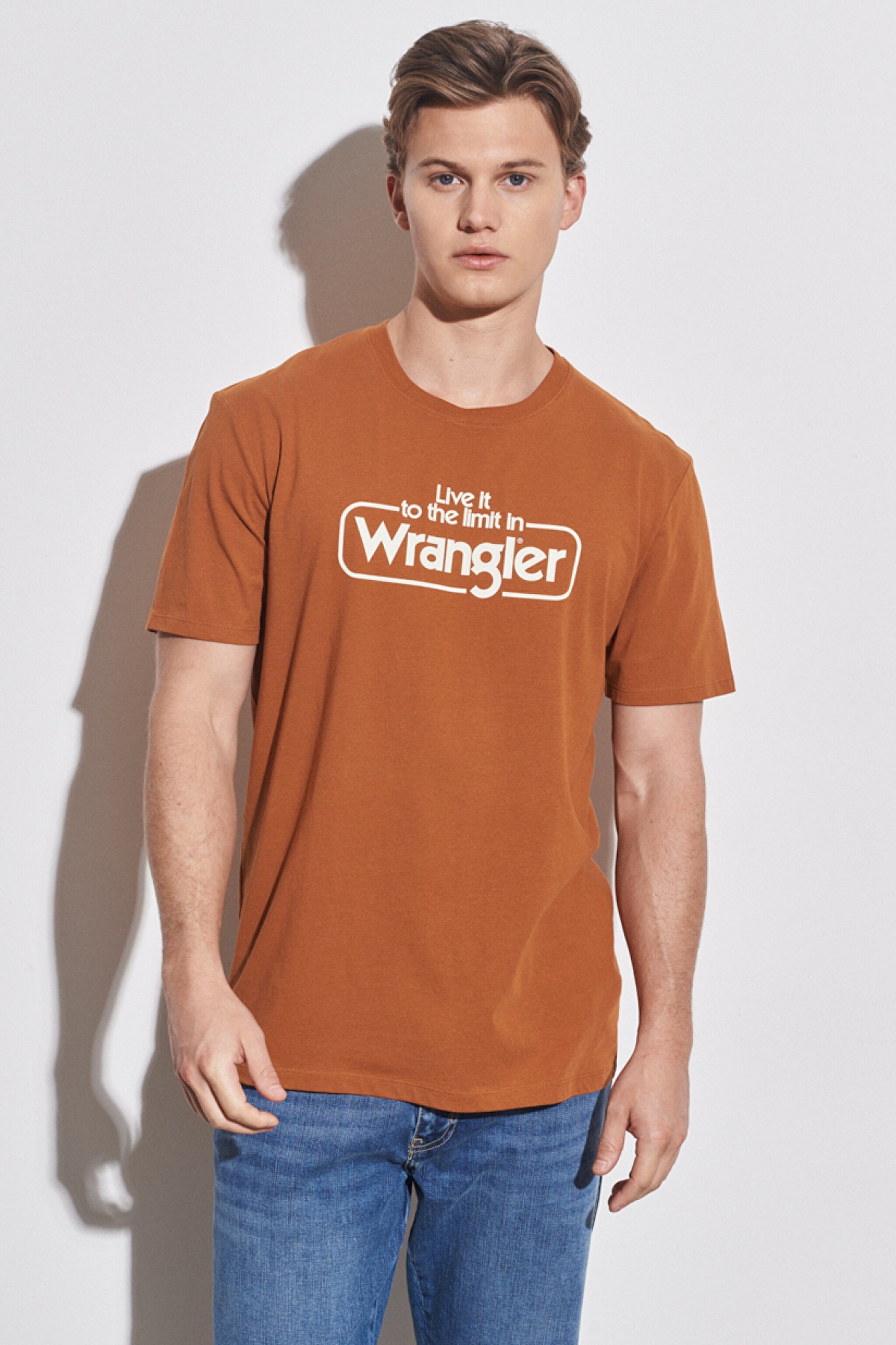 Regular Fit Normal Kesim %100 Pamuk Bisiklet Yaka Karamel Tişört - Nutmeg Brown-W70SD3H02