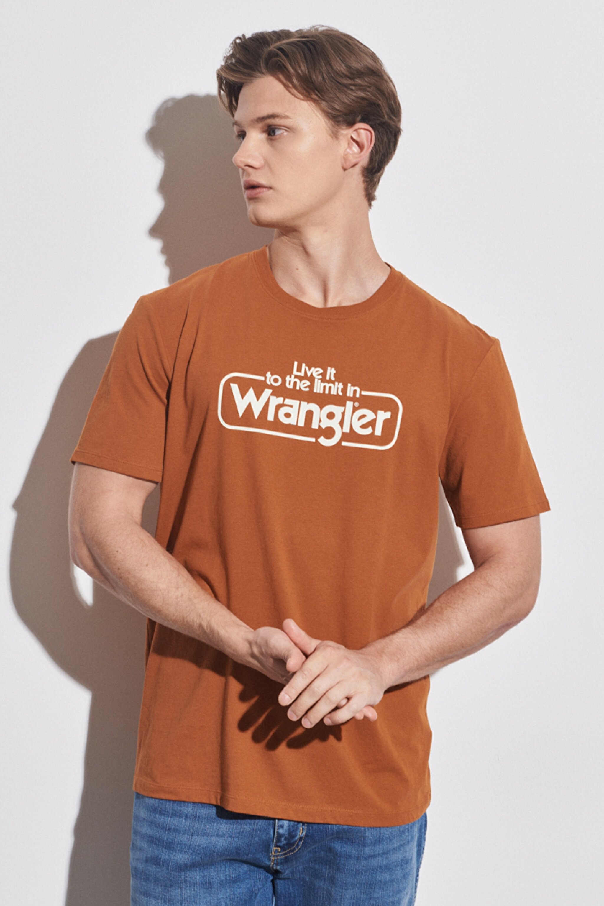 Regular Fit Normal Kesim %100 Pamuk Bisiklet Yaka Karamel Tişört - Nutmeg Brown-W70SD3H02 (görsel 2)