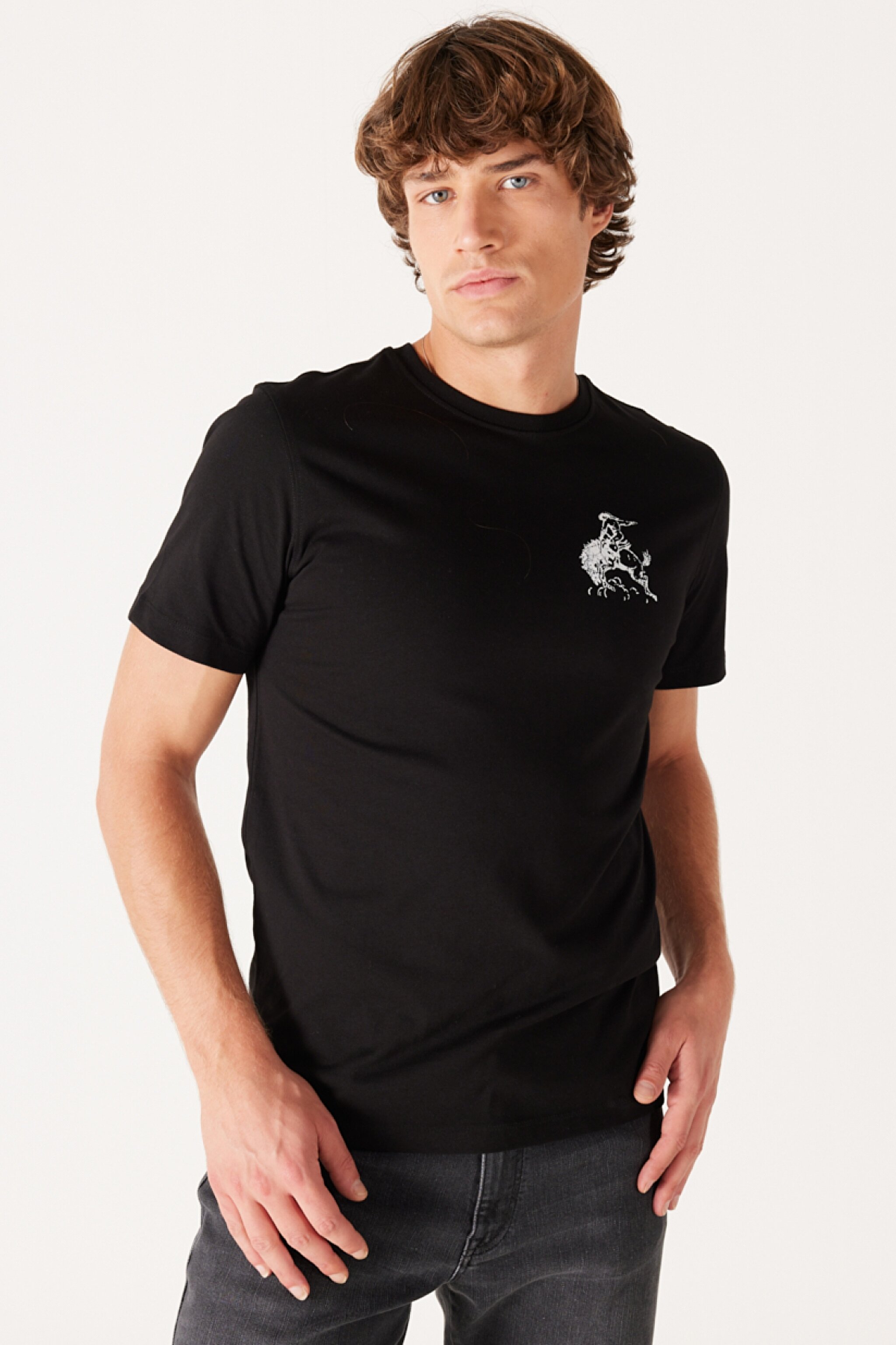 Regular Fit Normal Kesim %100 Pamuk Bisiklet Yaka Siyah Tişört - Black-W773EE100 (görsel 2)