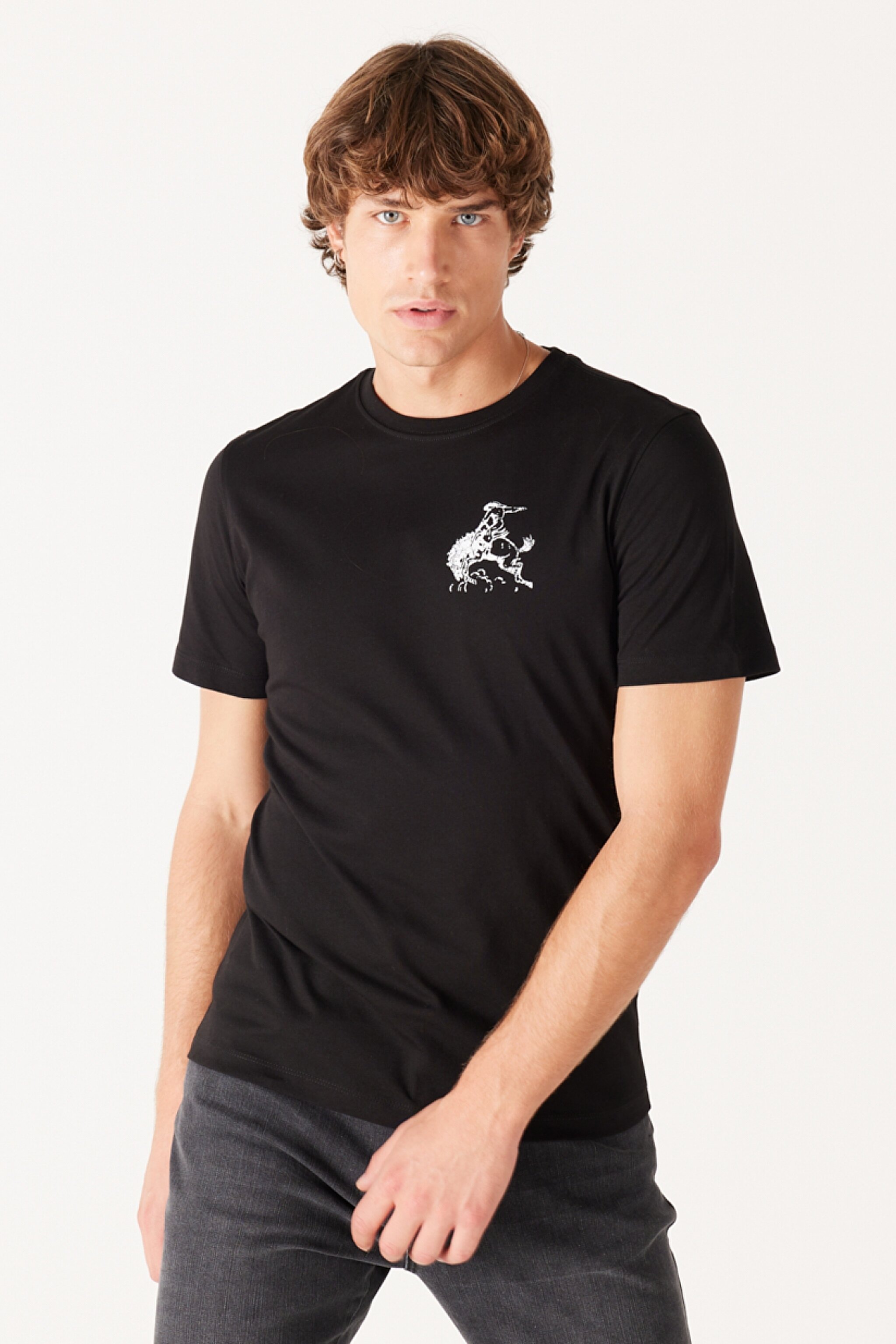 Regular Fit Normal Kesim %100 Pamuk Bisiklet Yaka Siyah Tişört - Black-W773EE100 (görsel 3)