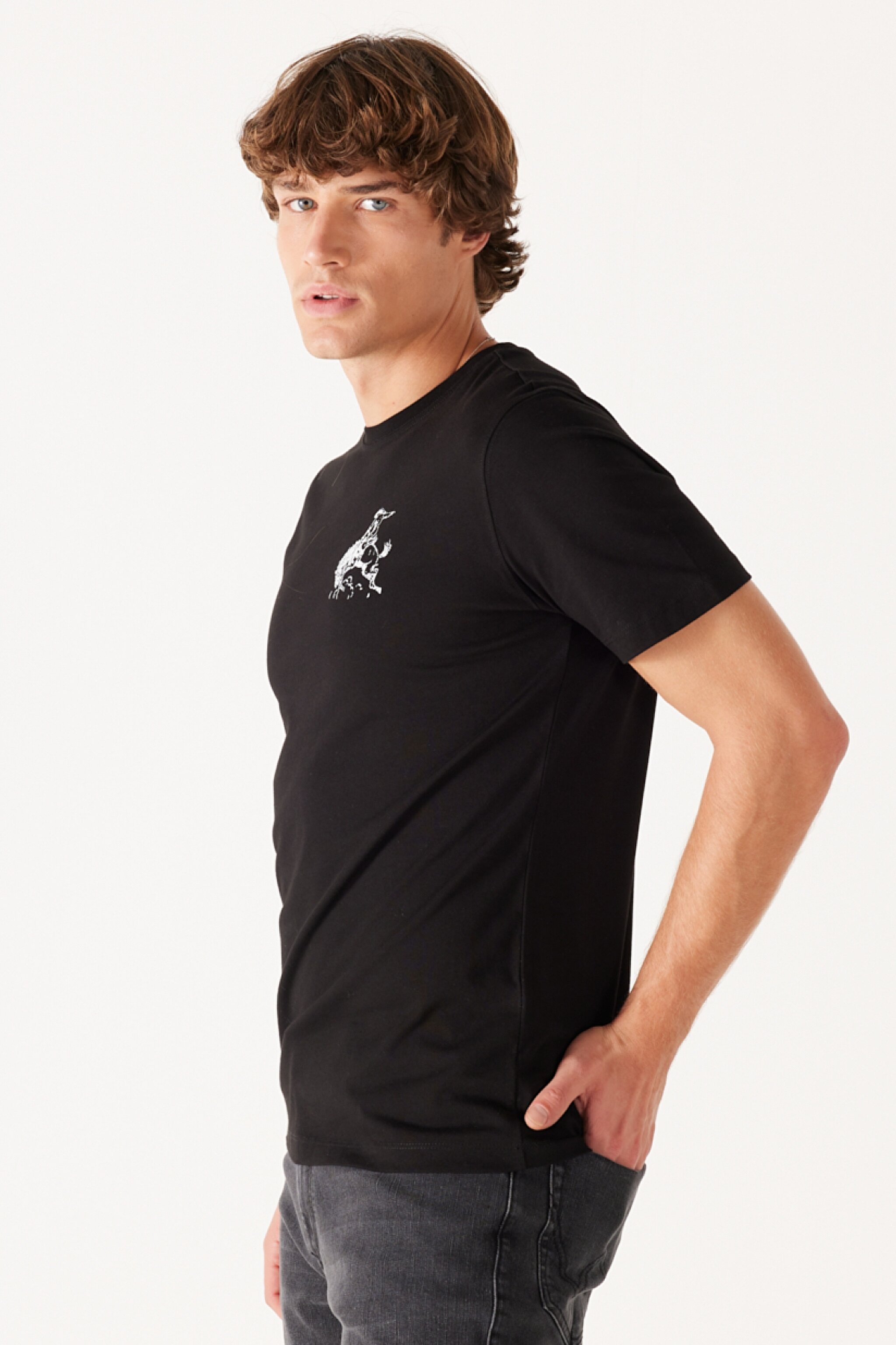 Regular Fit Normal Kesim %100 Pamuk Bisiklet Yaka Siyah Tişört - Black-W773EE100 (görsel 5)