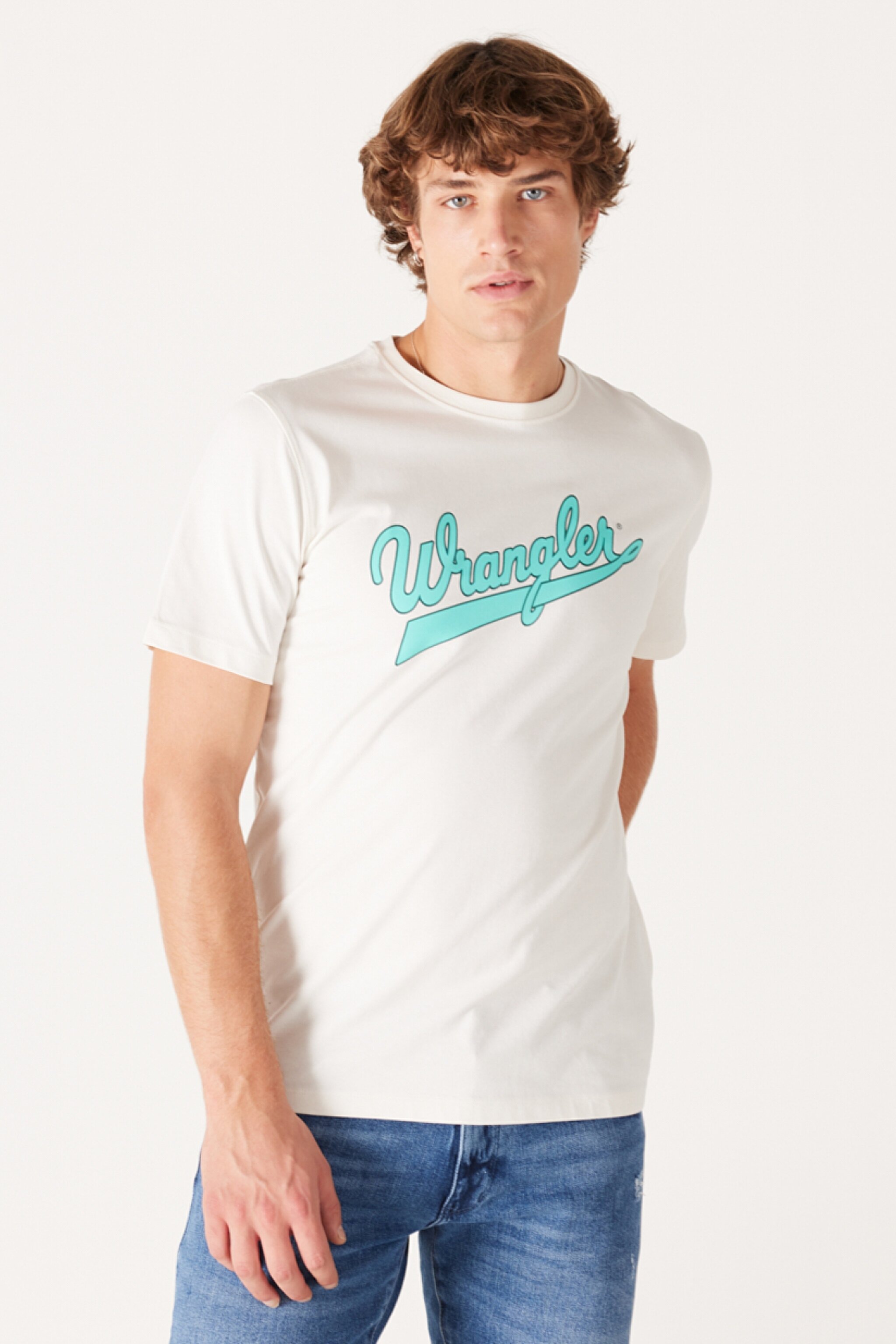 Regular Fit Normal Kesim %100 Pamuk Bisiklet Yaka Kırık Beyaz Tişört - Worn White-W773EEW03 (görsel 2)