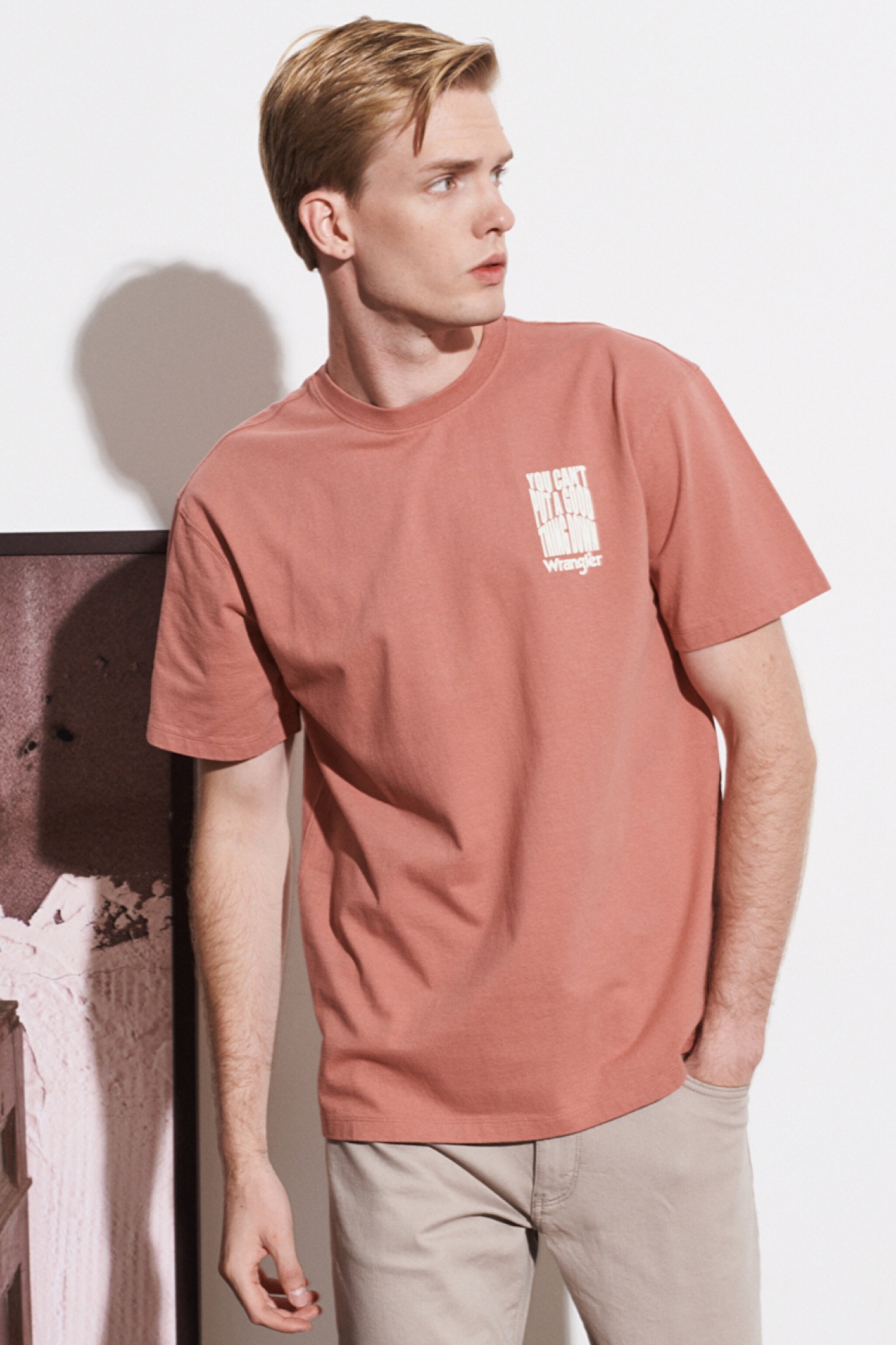 Loose Fit Rahat Kesim %100 Pamuk Bisiklet Yaka Tişört - Withered Rose-W7A1DFXHZ