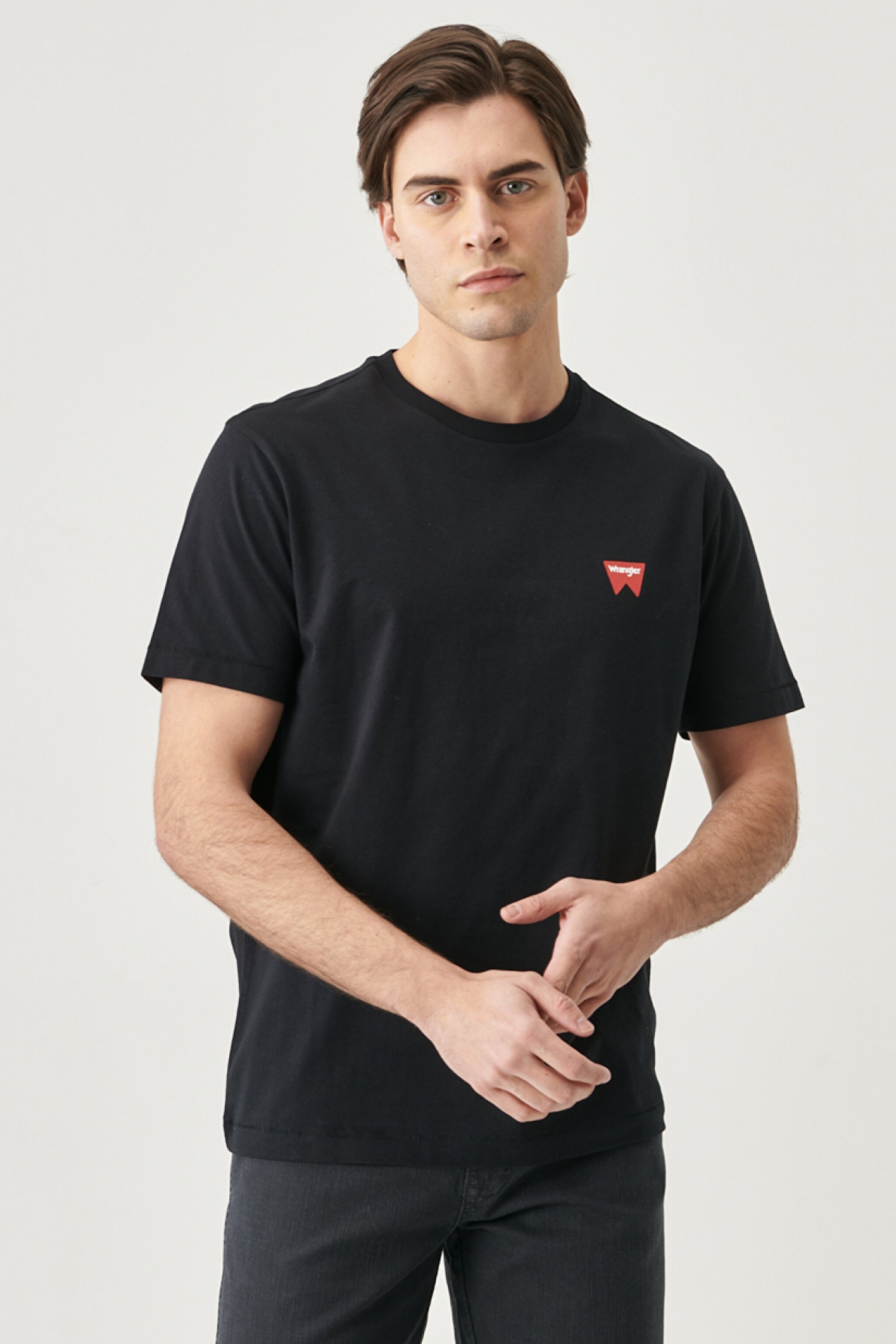 Regular Fit Normal Kesim Sıfır Yaka %100 Pamuk Logolu Tişört - Black-W7C07D301