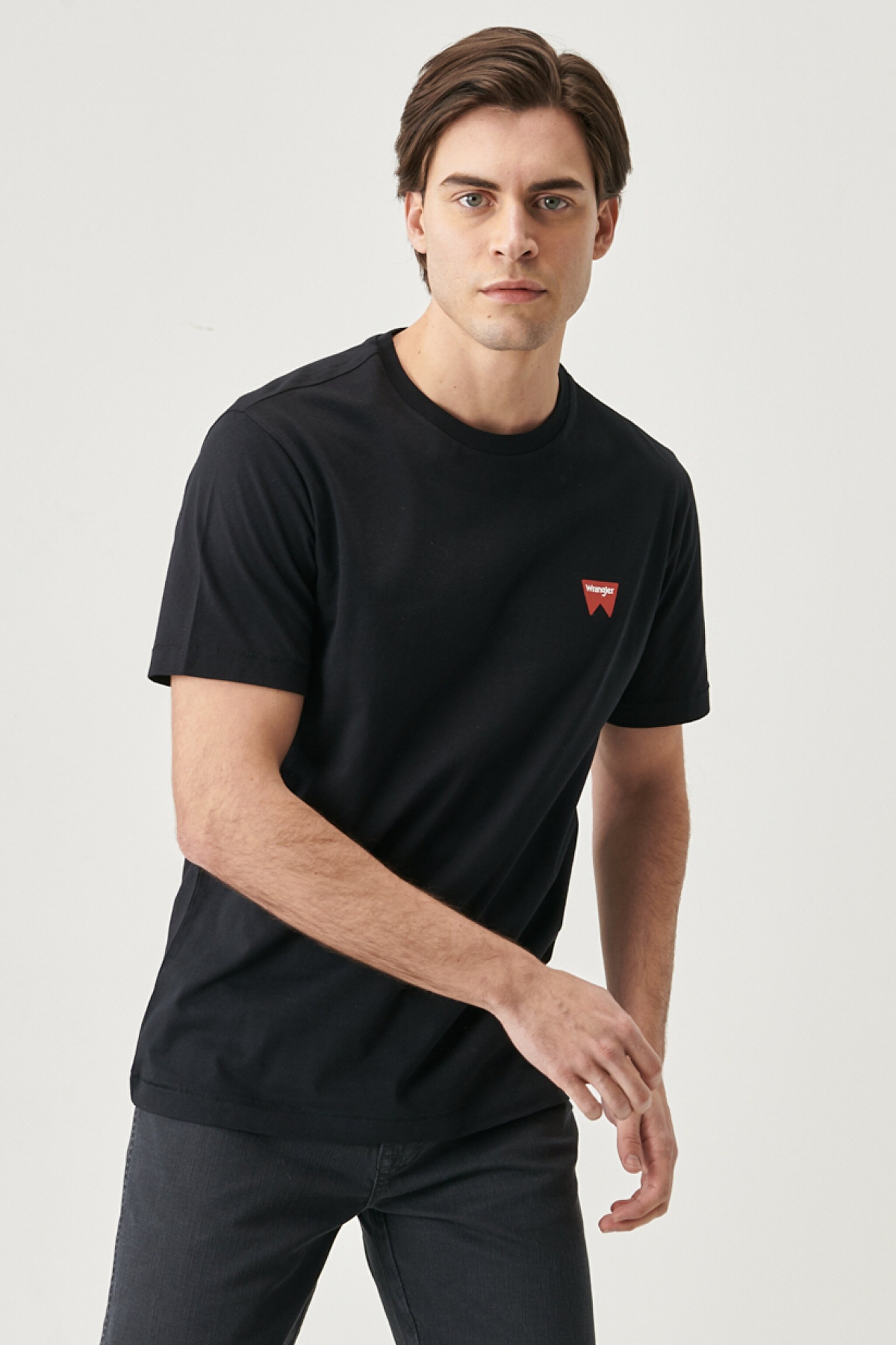 Regular Fit Normal Kesim Sıfır Yaka %100 Pamuk Logolu Tişört - Black-W7C07D301 (görsel 2)