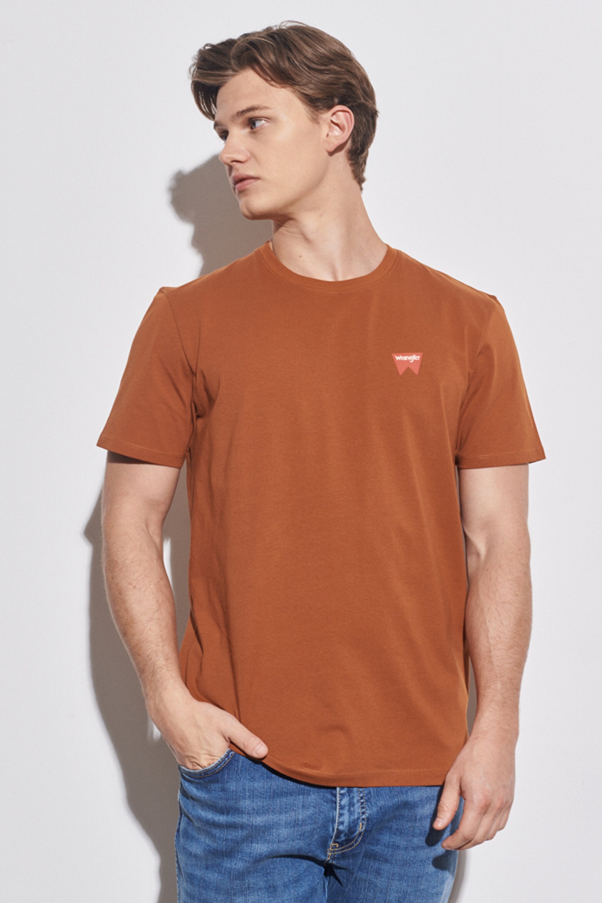 Regular Fit Normal Kesim %100 Pamuk Bisiklet Yaka Kahverengi Tişört - Nutmeg Brown-W7C07DH02