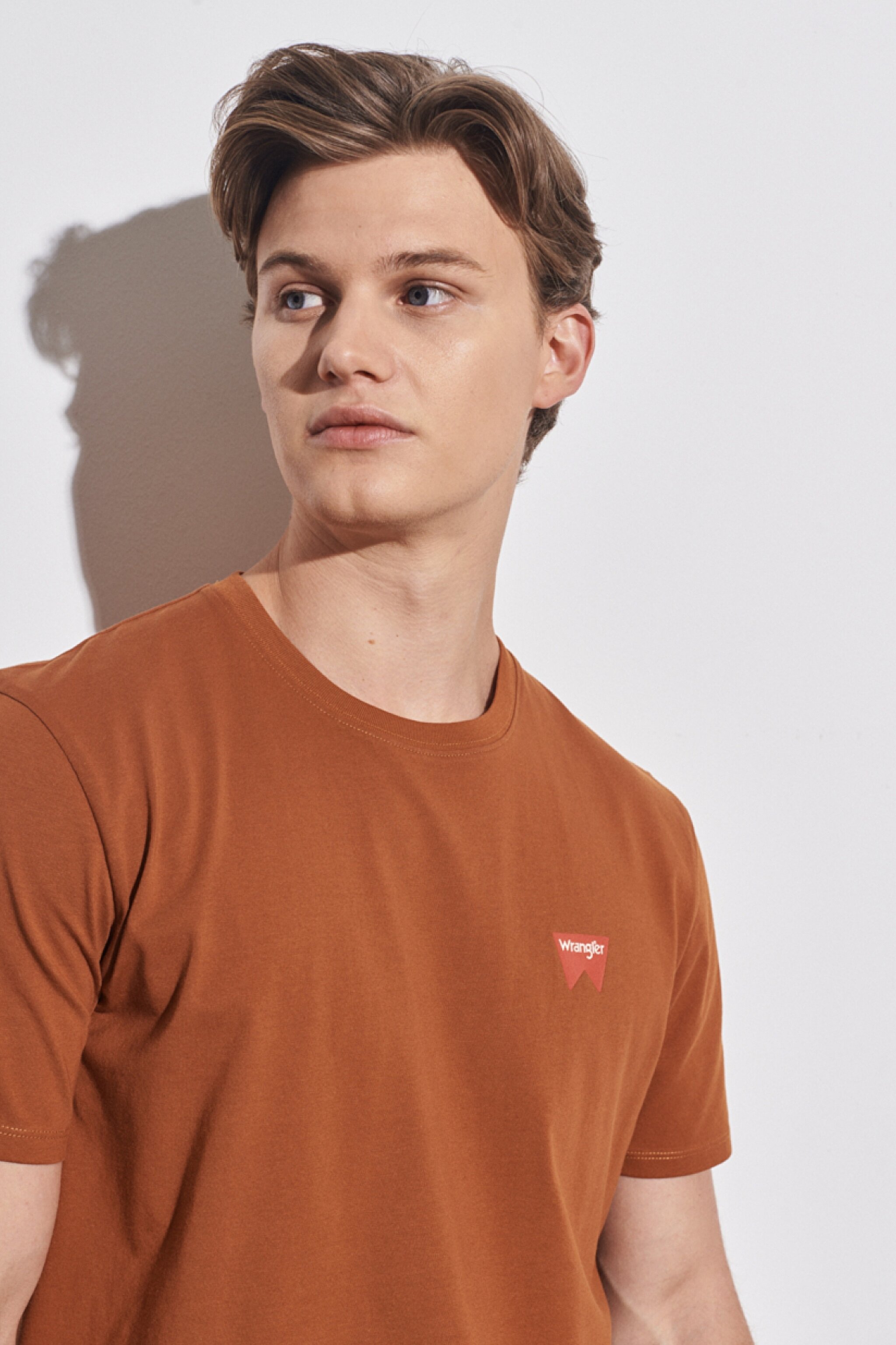 Regular Fit Normal Kesim %100 Pamuk Bisiklet Yaka Kahverengi Tişört - Nutmeg Brown-W7C07DH02 (görsel 3)