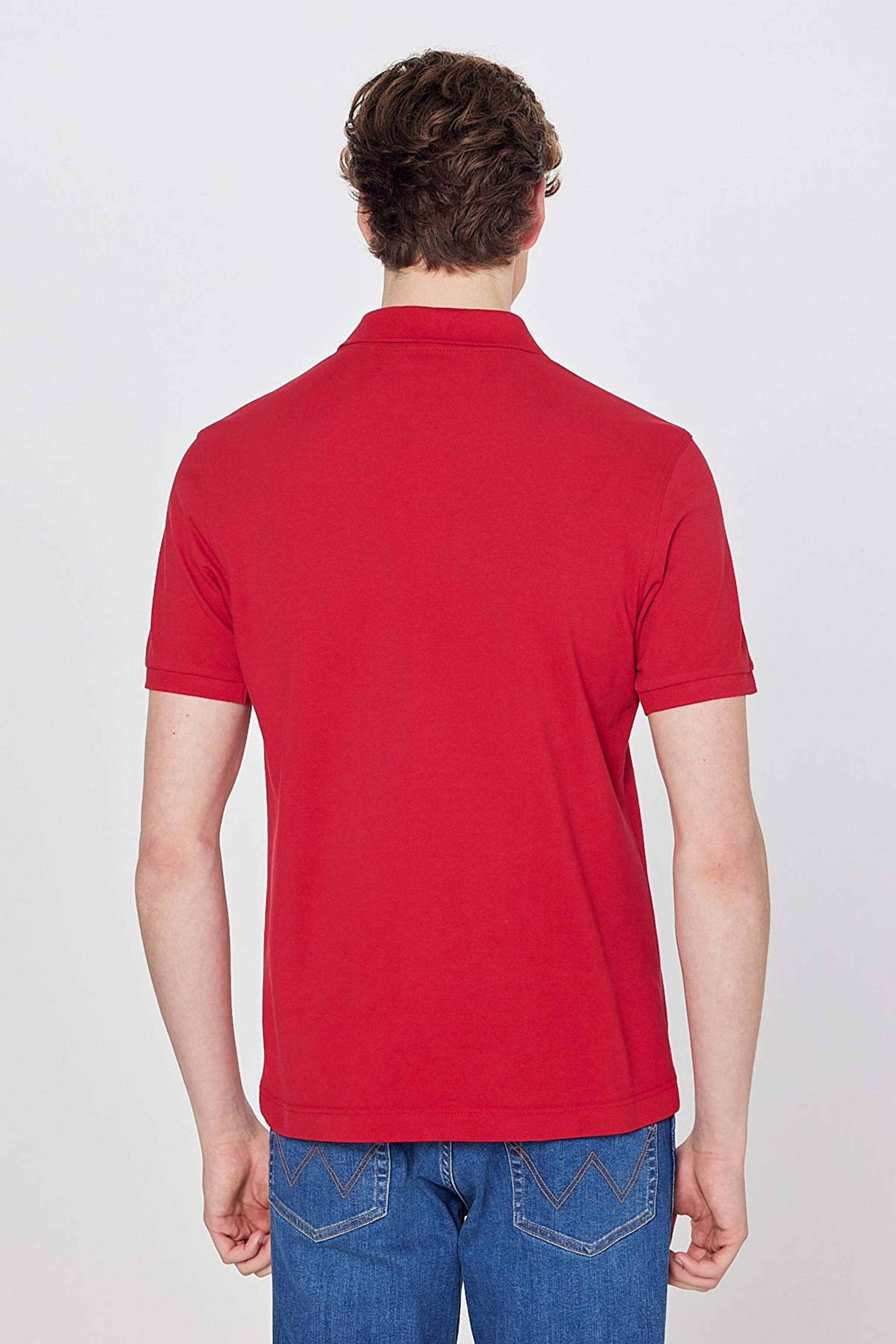 Regular Fit Normal Kesim Polo Yaka %100 Pamuk Bordo Tişört - Red-W7D5K4XX2T600 (görsel 5)