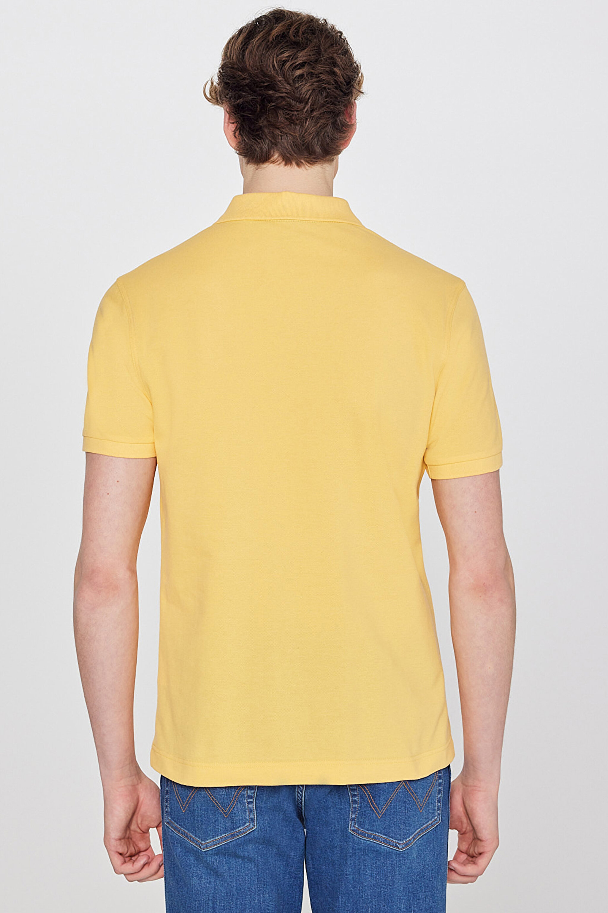 Regular Fit Normal Kesim Polo Yaka %100 Pamuk Sarı Tişört - Sunlight-W7D5K4XX2TXCU (görsel 5)