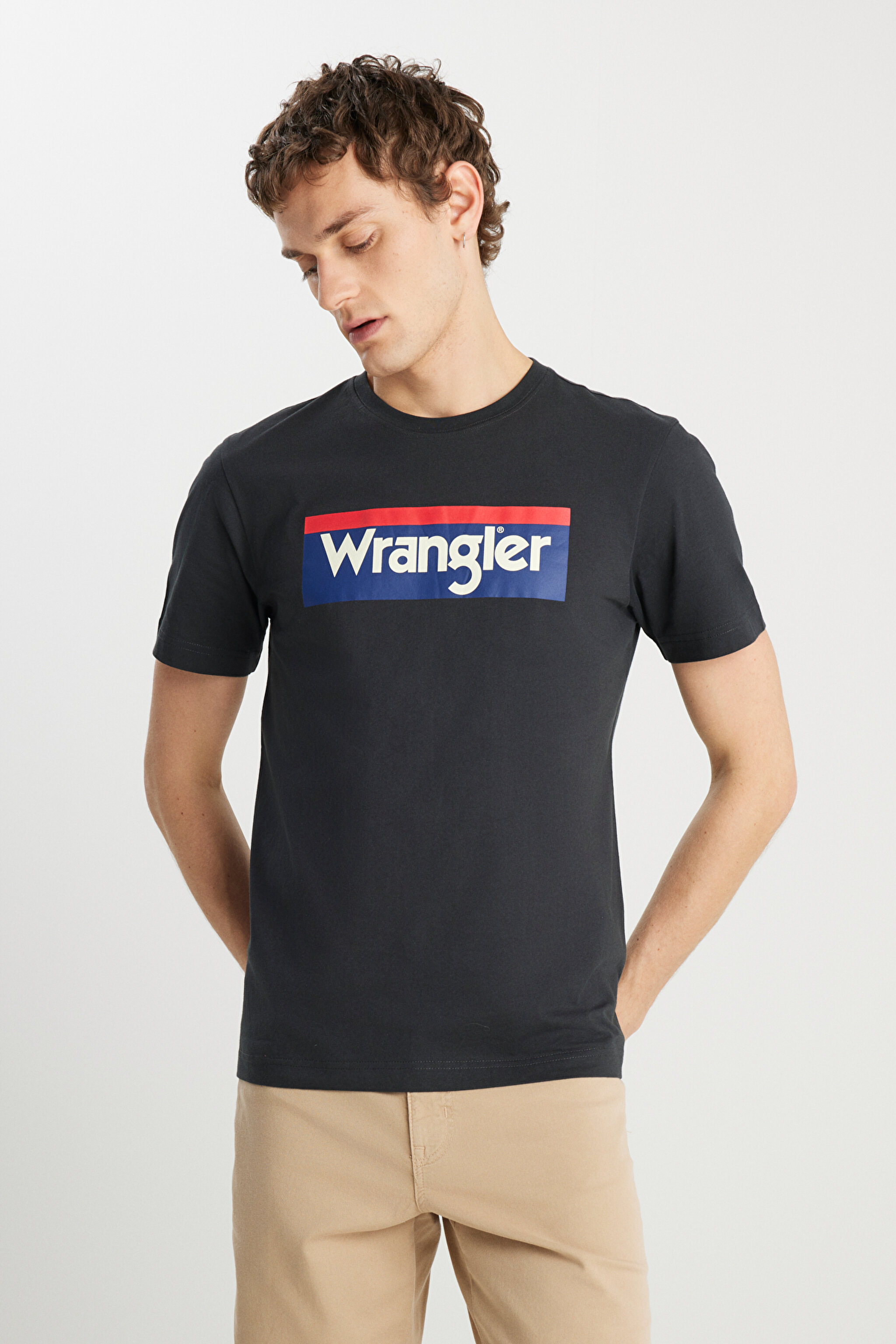 Regular Fit Normal Kesim %100 Pamuk Bisiklet Yaka Tişört - Faded Black-W7H4D3XV6 (görsel 2)