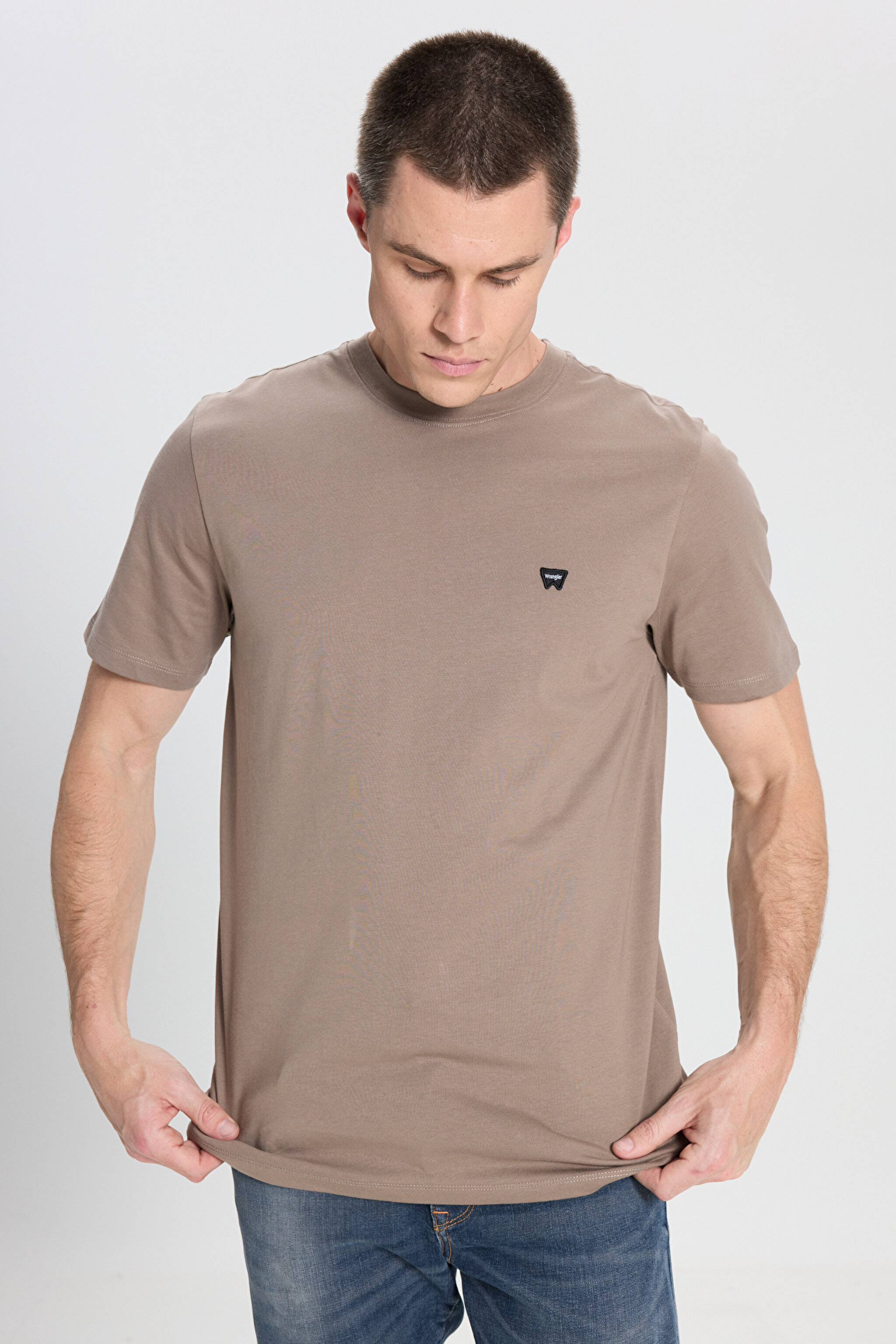 Regular Fit Normal Kesim Bisiklet Yaka %100 Pamuk Vizon Tişört - Vizon-W7NM203877208 (görsel 2)