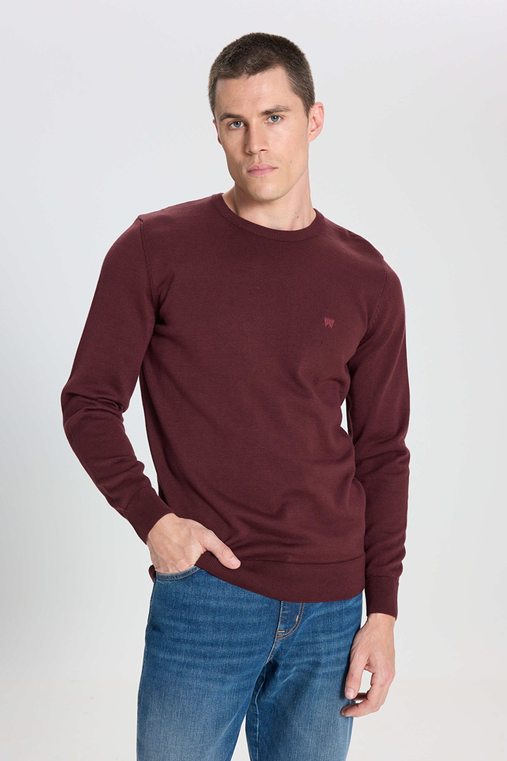 Regular Fit Normal Kesim Bisiklet Yaka Açık Yeşil Triko Kazak - Dahlia-W8A02P299