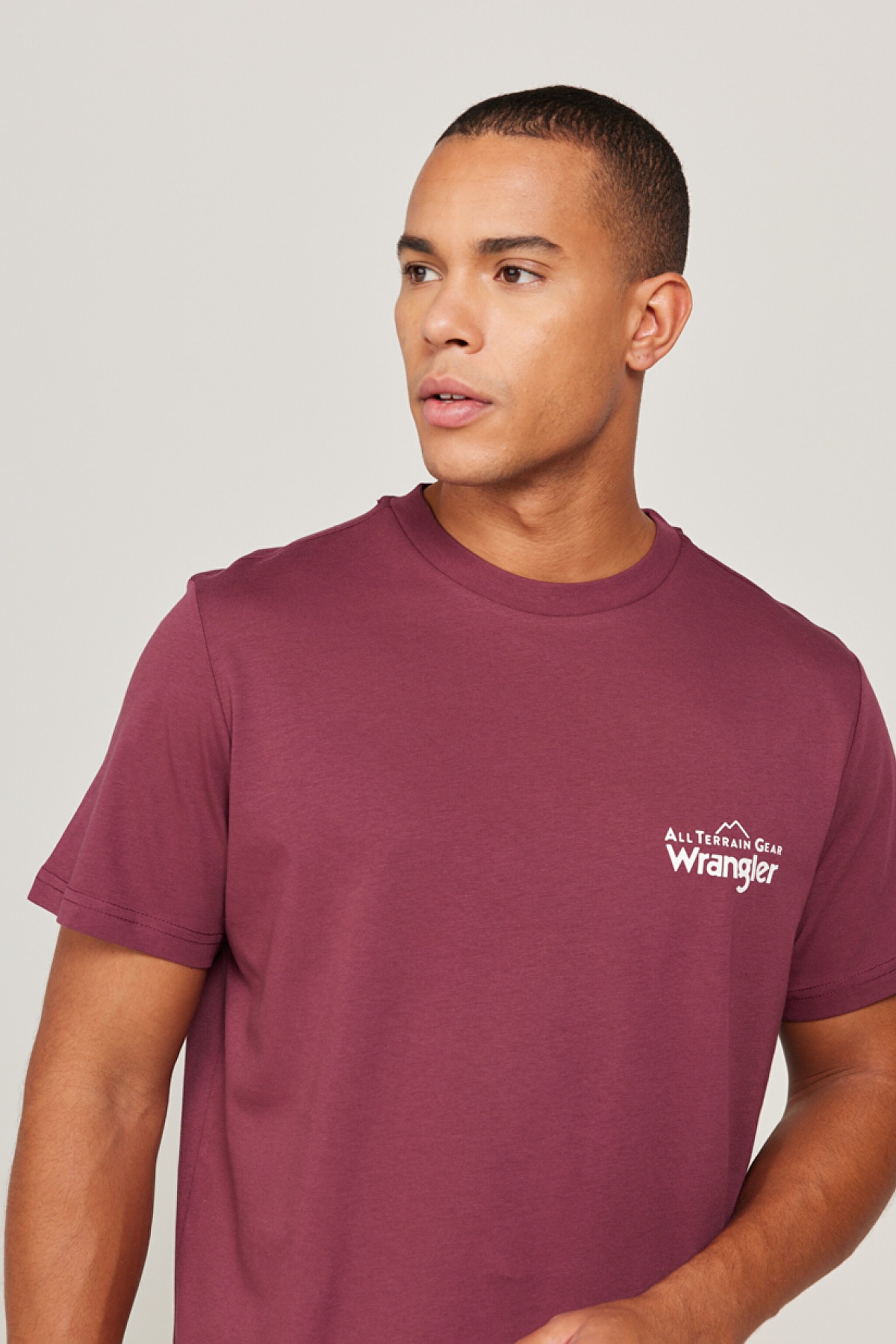 All Terrain Gear Regular Fit Normal Kesim %100 Pamuk Bisiklet Yaka Tişört - Burgundy-WC5EGE39R (görsel 4)