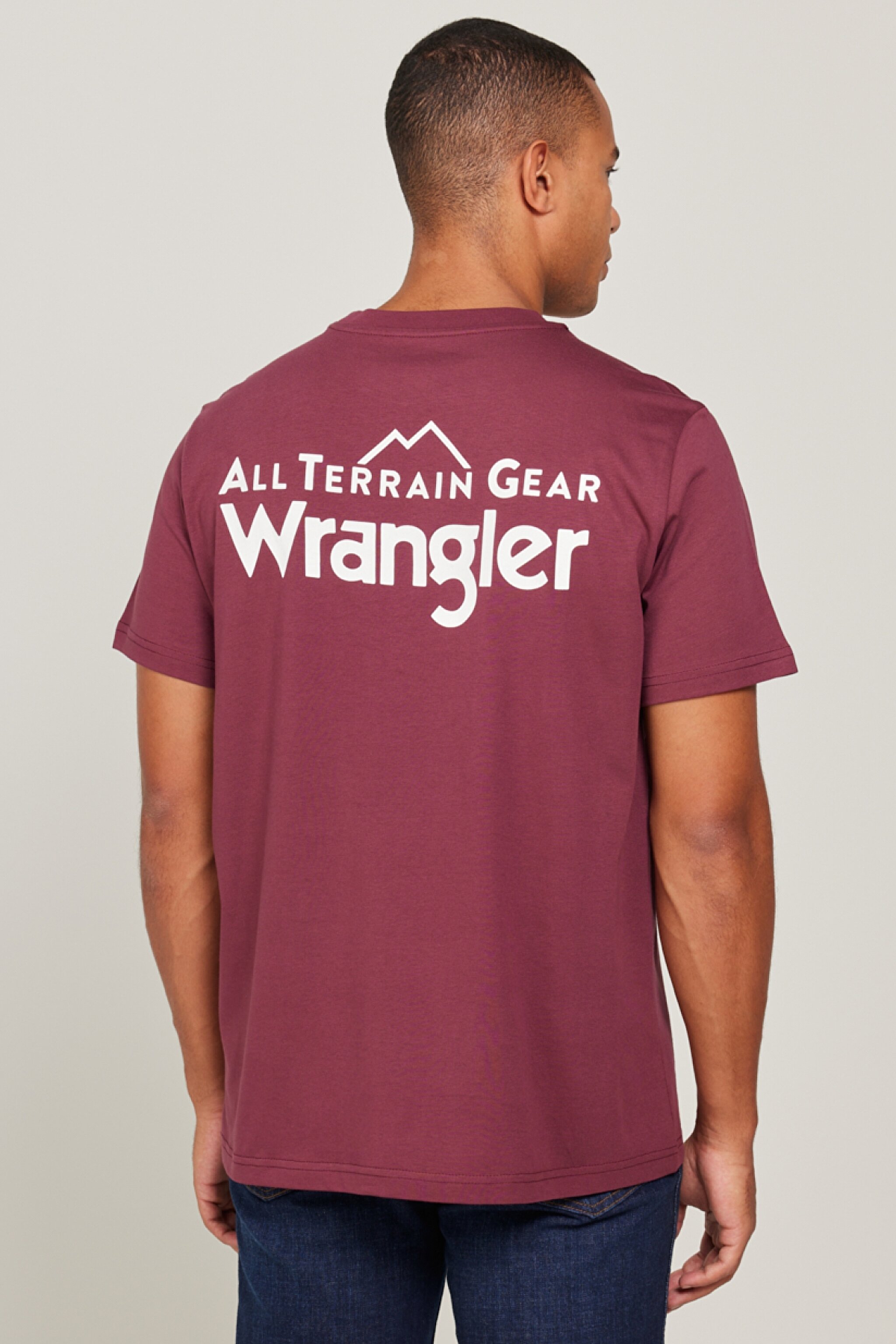 All Terrain Gear Regular Fit Normal Kesim %100 Pamuk Bisiklet Yaka Tişört - Burgundy-WC5EGE39R (görsel 5)
