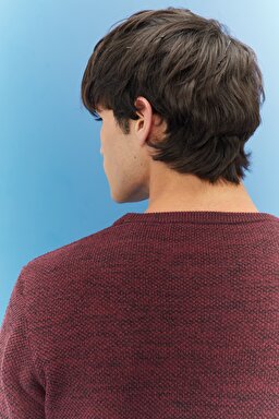 Regular Fit Normal Kesim Sıfır Yaka Triko - Wine-L212149810 (görsel 5)