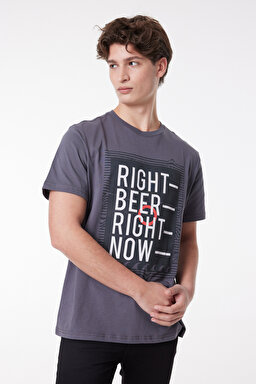 Regular Fit Rahat Kesim %100 Pamuk Bisiklet Yaka Kısa Kollu Tişört - Anthracite-L222608003