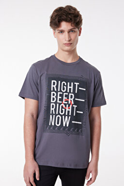 Regular Fit Rahat Kesim %100 Pamuk Bisiklet Yaka Kısa Kollu Tişört - Anthracite-L222608003 (görsel 3)