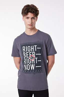 Regular Fit Rahat Kesim %100 Pamuk Bisiklet Yaka Kısa Kollu Tişört - Anthracite-L222608003 (görsel 4)
