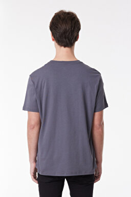Regular Fit Rahat Kesim %100 Pamuk Bisiklet Yaka Kısa Kollu Tişört - Anthracite-L222608003 (görsel 5)