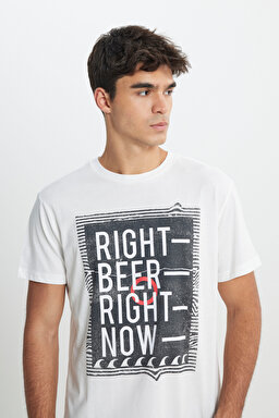 Regular Fit Normal Kesim %100 Pamuk Bisiklet Yaka Tişört - Off White-L222608102 (görsel 3)