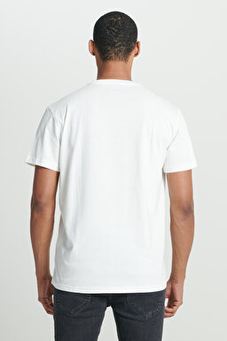 Regular Fit Normal Kesim %100 Pamuk Bisiklet Yaka Tişört - Off White-L222616102 (görsel 6)