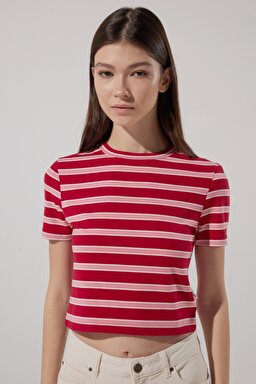 Slim Fit Dar Kesim Bisiklet Yaka Kısa Kollu Crop Renkli Esnek Tişört - Multi-L231105900
