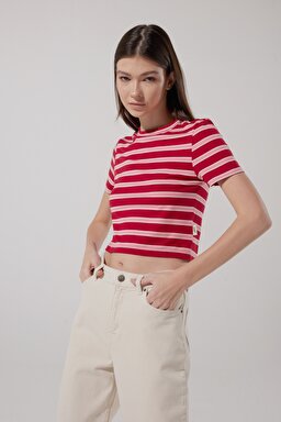Slim Fit Dar Kesim Bisiklet Yaka Kısa Kollu Crop Renkli Esnek Tişört - Multi-L231105900 (görsel 2)
