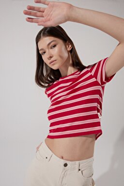 Slim Fit Dar Kesim Bisiklet Yaka Kısa Kollu Crop Renkli Esnek Tişört - Multi-L231105900 (görsel 3)