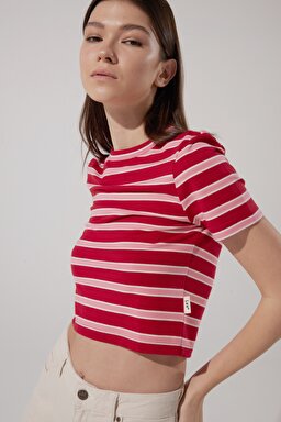 Slim Fit Dar Kesim Bisiklet Yaka Kısa Kollu Crop Renkli Esnek Tişört - Multi-L231105900 (görsel 4)