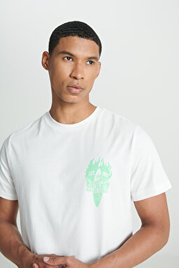 Regular Fit Normal Kesim %100 Pamuk Bisiklet Yaka Kırık Beyaz Tişört - Off White-L231288102 (görsel 6)