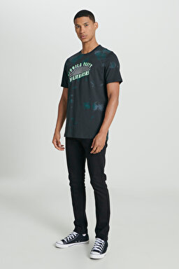Regular Fit Normal Kesim %100 Pamuk Bisiklet Yaka Siyah Tişört - Black-L231289001 (görsel 3)