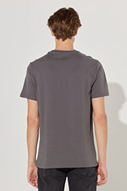 Regular Fit Normal Kesim %100 Pamuk Bisiklet Yaka Antrasit Tişört - Anthracite-L231311003 (görsel 6)