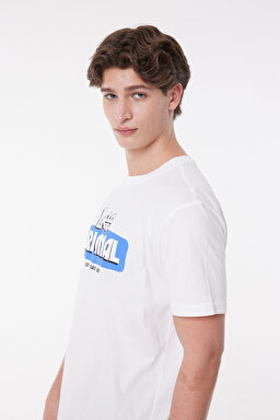 Regular Fit Normal Kesim %100 Pamuk Bisiklet Yaka Kırık Beyaz Tişört - Off White-L231734102 (görsel 4)