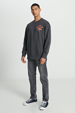 Loose Fit Rahat Kesim Bisiklet Yaka İçi Polarlı Sırt Baskılı Antrasit Sweatshirt - Anthracite-L232282003 (görsel 4)