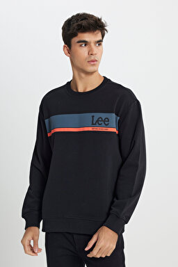 Regular Fit Normal Kesim Bisiklet Yaka Siyah Sweatshirt - Black-L232501001 (görsel 2)