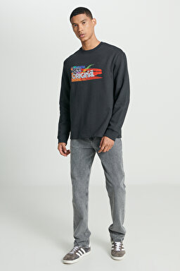 Regular Fit Normal Kesim Bisiklet Yaka Şardonlu Siyah Sweatshirt - Black-L232519001 (görsel 3)