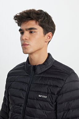 Regular Fit Normal Kesim Dik Yaka Kapitoneli Siyah Şişme Ceket - Black-L232521001 (görsel 5)
