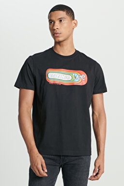 Regular Fit Normal Kesim Bisiklet Yaka %100 Pamuk Siyah Tişört - Black-L241330001