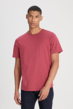 Regular Fit Normal Kesim Bisiklet Yaka %100 Pamuk Gül Kurusu Tişört - Intuition Grey-L241570A11 (görsel 2)