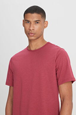Regular Fit Normal Kesim Bisiklet Yaka %100 Pamuk Gül Kurusu Tişört - Intuition Grey-L241570A11 (görsel 4)