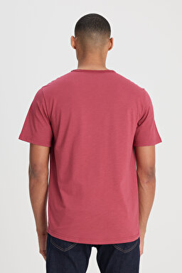 Regular Fit Normal Kesim Bisiklet Yaka %100 Pamuk Gül Kurusu Tişört - Intuition Grey-L241570A11 (görsel 5)