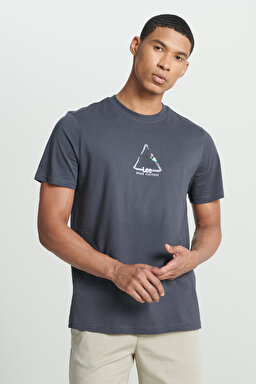Regular Fit Normal Kesim Bisiklet Yaka %100 Pamuk Antrasit Tişört - Anthracite-L241586003 (görsel 3)