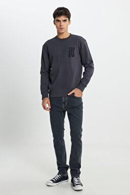 Regular Fit Normal Kesim Bisiklet Yaka İçi Polarlı Antrasit Sweatshirt - Faded Black-L24216633W (görsel 2)