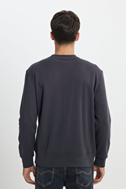 Regular Fit Normal Kesim Bisiklet Yaka İçi Polarlı Antrasit Sweatshirt - Faded Black-L24216633W (görsel 5)