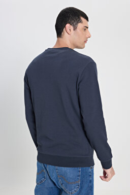 Regular Fit Normal Kesim Bisiklet Yaka Antrasit Sweatshirt - Anthracite-L242502003 (görsel 5)